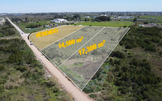 Venta de predio logístico e industrial de 14.500 m2 en Felipe Cardoso y Susana Pintos Montevideo - Interra